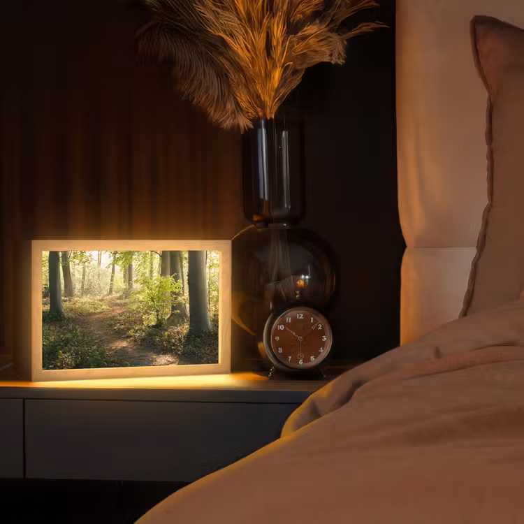 Bos - Bomen - Pad - Zon - Planten - Bladeren - Natuur Light Box met kabel (Tafellamp) klein -sfeer1