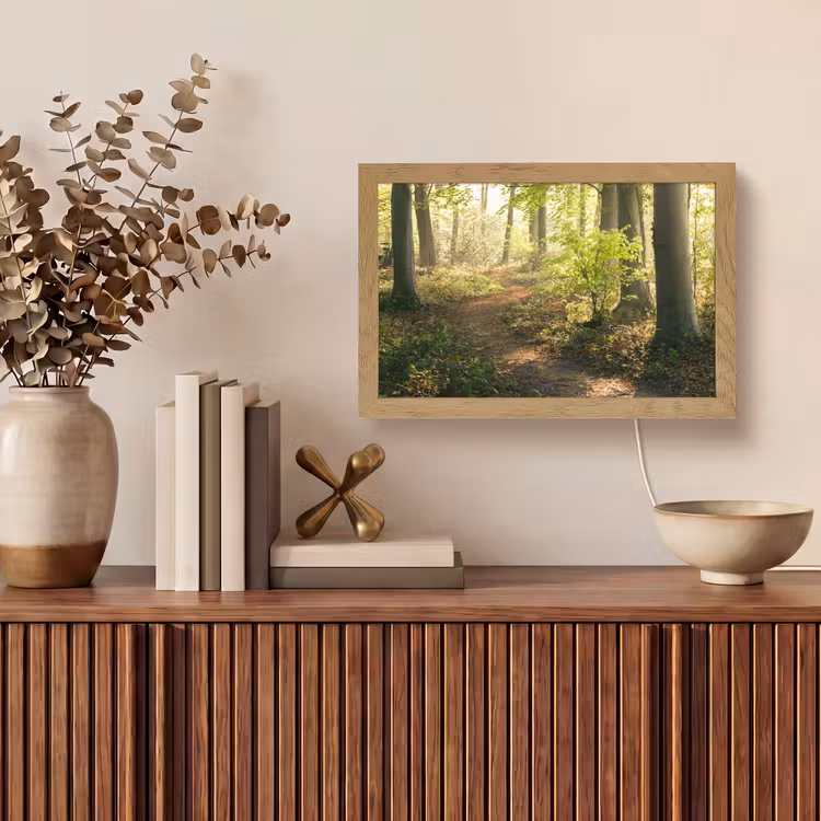 Bos - Bomen - Pad - Zon - Planten - Bladeren - Natuur Light Box met kabel (Tafellamp) klein -sfeer2