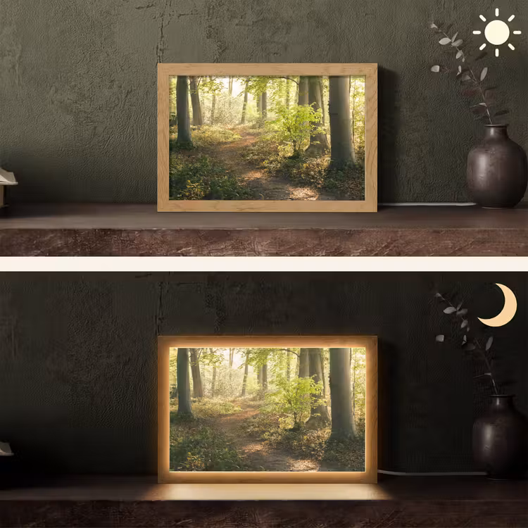 Bos - Bomen - Pad - Zon - Planten - Bladeren - Natuur Light Box met kabel (Tafellamp) klein -sfeer3