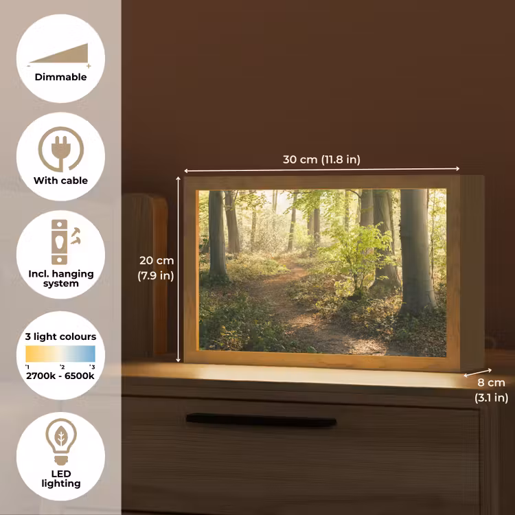 Bos - Bomen - Pad - Zon - Planten - Bladeren - Natuur Light Box met kabel (Tafellamp) klein -USP_EN