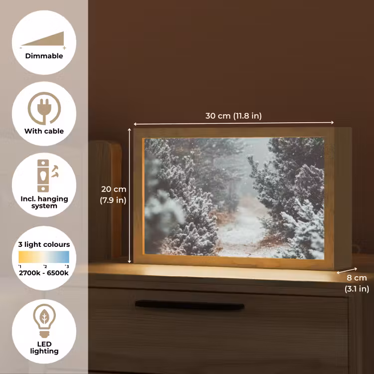 Bos - Winter - Bomen - Natuur - Pad - Sneeuw Light Box met kabel (Tafellamp) klein -USP_EN