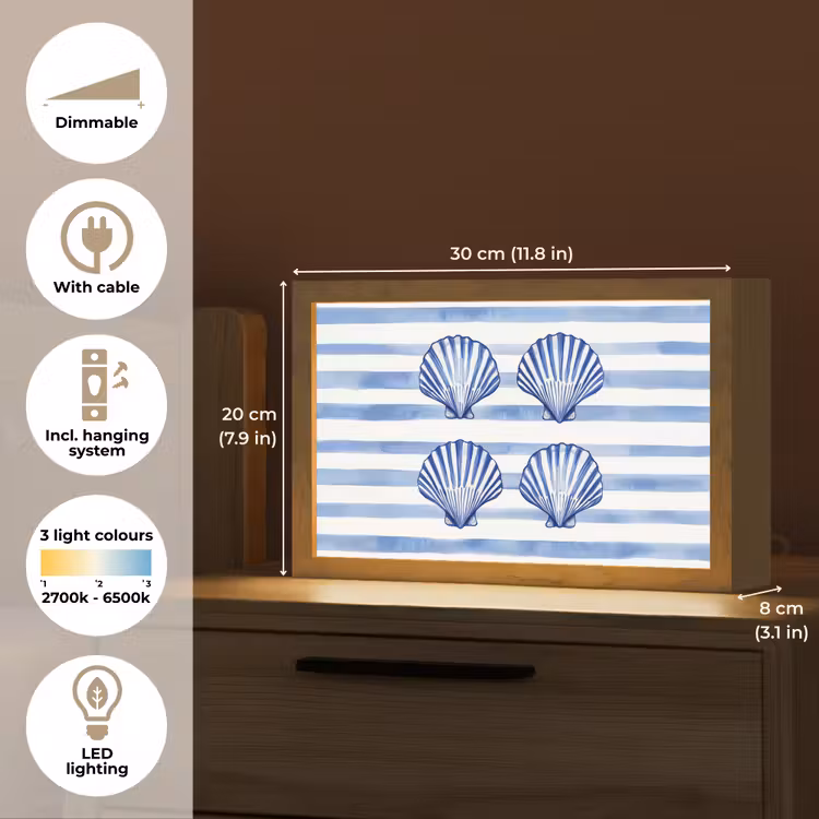 Vier schelpen - Blauw - Wit - Strepen Light Box met kabel (Tafellamp) klein -USP_EN