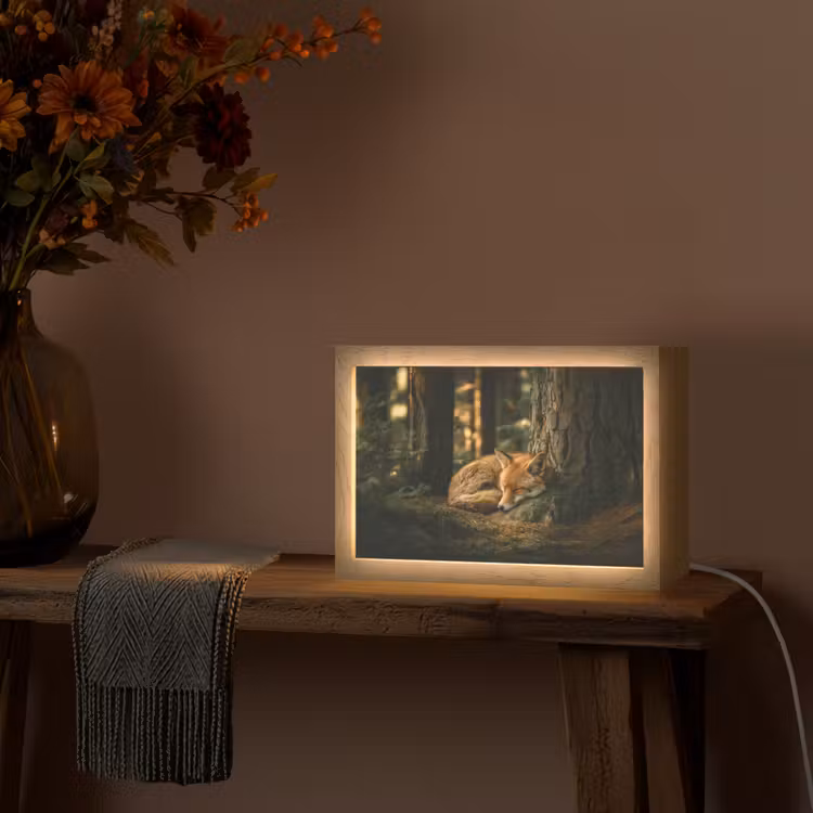 Vos - Bos - Slapen Light Box met kabel (Tafellamp) klein -sfeer4