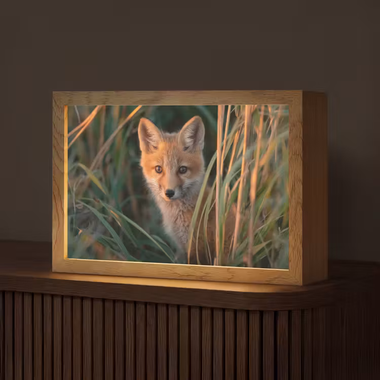 Vos - Oranje - Gras Light Box met kabel (Tafellamp) klein -z3d_website