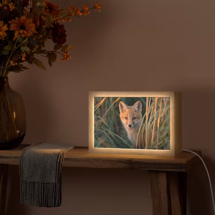 Vos - Oranje - Gras Light Box met kabel (Tafellamp) klein -sfeer4