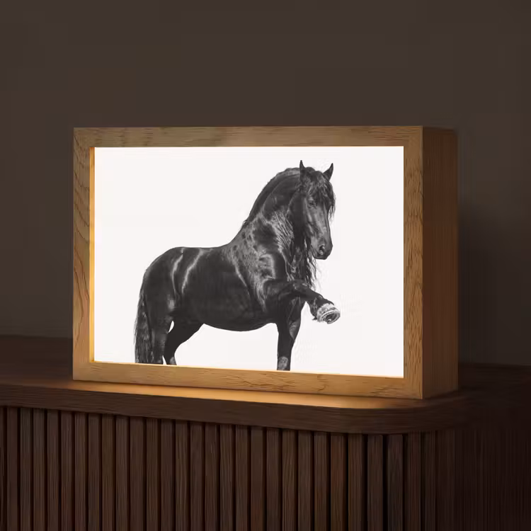 Fries - Hengst - Modern Light Box met kabel (Tafellamp) klein -z3d_website