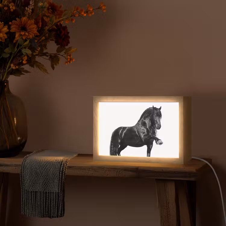 Fries - Hengst - Modern Light Box met kabel (Tafellamp) klein -sfeer4