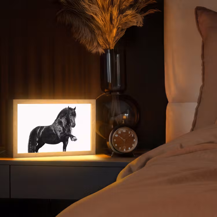 Fries - Hengst - Modern Light Box met kabel (Tafellamp) klein -sfeer1