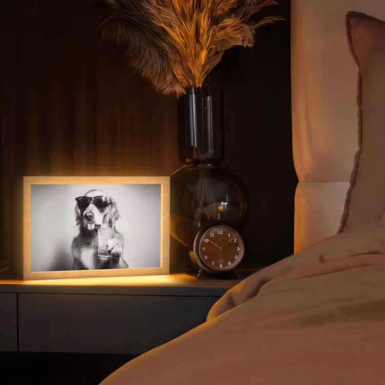 Golden retriever - Hond - Zonnebril - Gkas Light Box met kabel (Tafellamp) klein -sfeer1