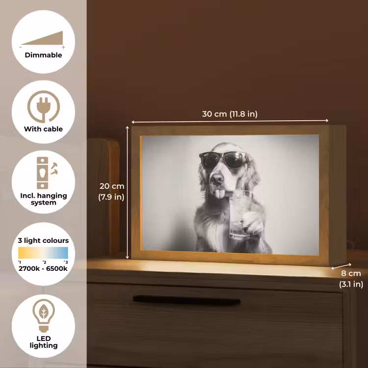 Golden retriever - Hond - Zonnebril - Gkas Light Box met kabel (Tafellamp) klein -USP_EN