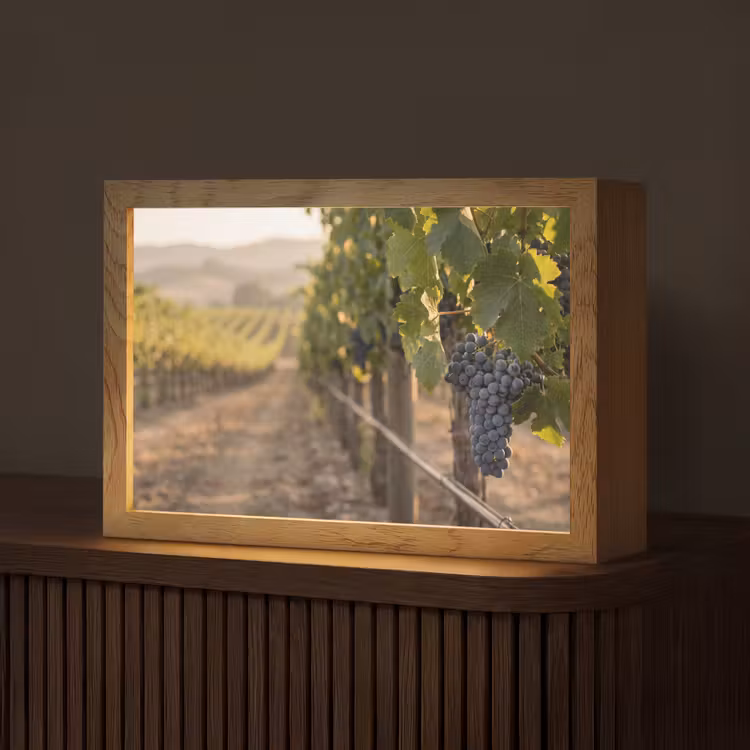 Druiven - Wijngaard - Zonlicht Light Box met kabel (Tafellamp) klein -z3d_website
