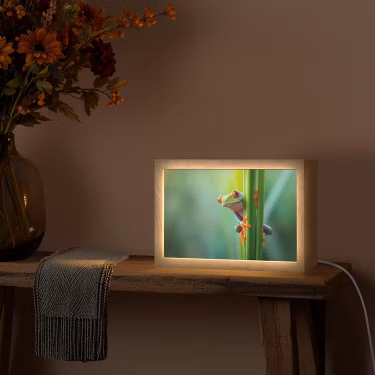 Groene kikker - Nieuwsgierig - Gras Light Box met kabel (Tafellamp) klein -sfeer4