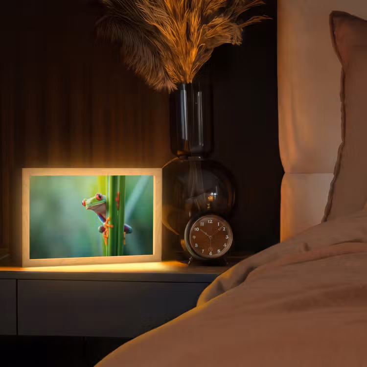 Groene kikker - Nieuwsgierig - Gras Light Box met kabel (Tafellamp) klein -sfeer1