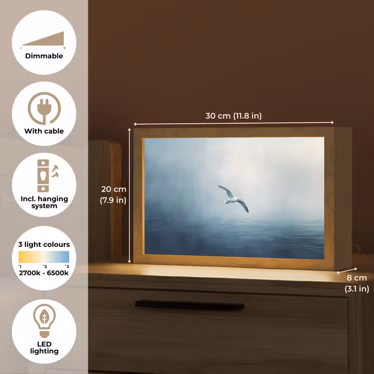 Meeuw - Wit - Zee - Mistig Light Box met kabel (Tafellamp) klein -USP_EN