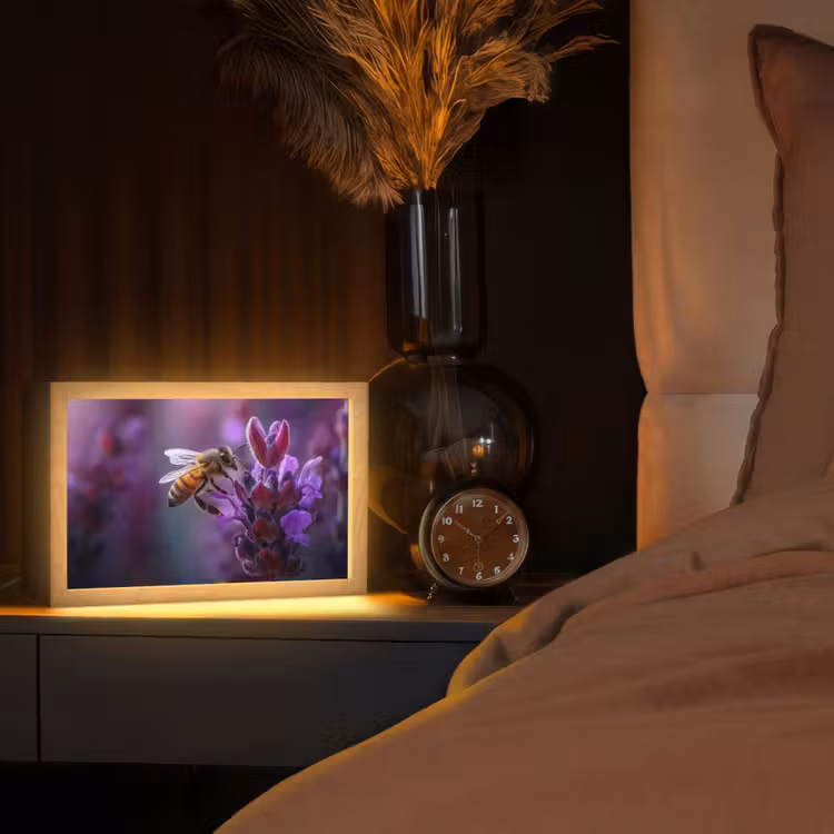 Honingbij - Paarse bloemen - Details Light Box met kabel (Tafellamp) klein -sfeer1