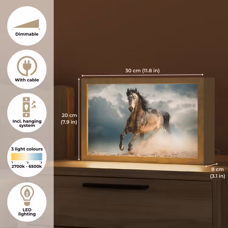Paard - Dieren - Bruin - Natuur Light Box met kabel (Tafellamp) klein -USP_EN