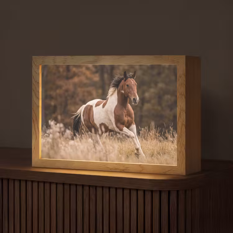 Paard - Bruin - Gras Light Box met kabel (Tafellamp) klein -z3d_website