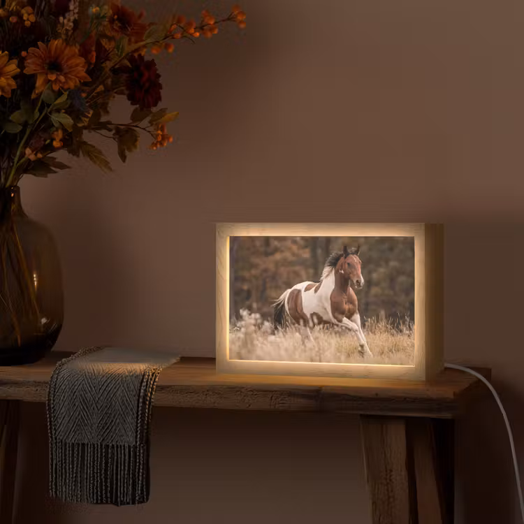 Paard - Bruin - Gras Light Box met kabel (Tafellamp) klein -sfeer4