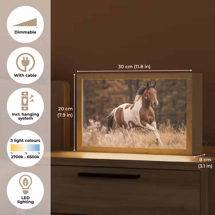 Paard - Bruin - Gras Light Box met kabel (Tafellamp) klein -USP_EN