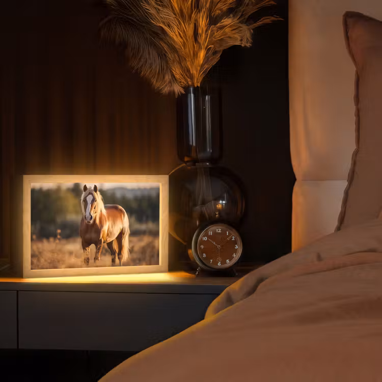 Paard - Bruin - Natuur - Weiland - Dier Light Box met kabel (Tafellamp) klein -sfeer1
