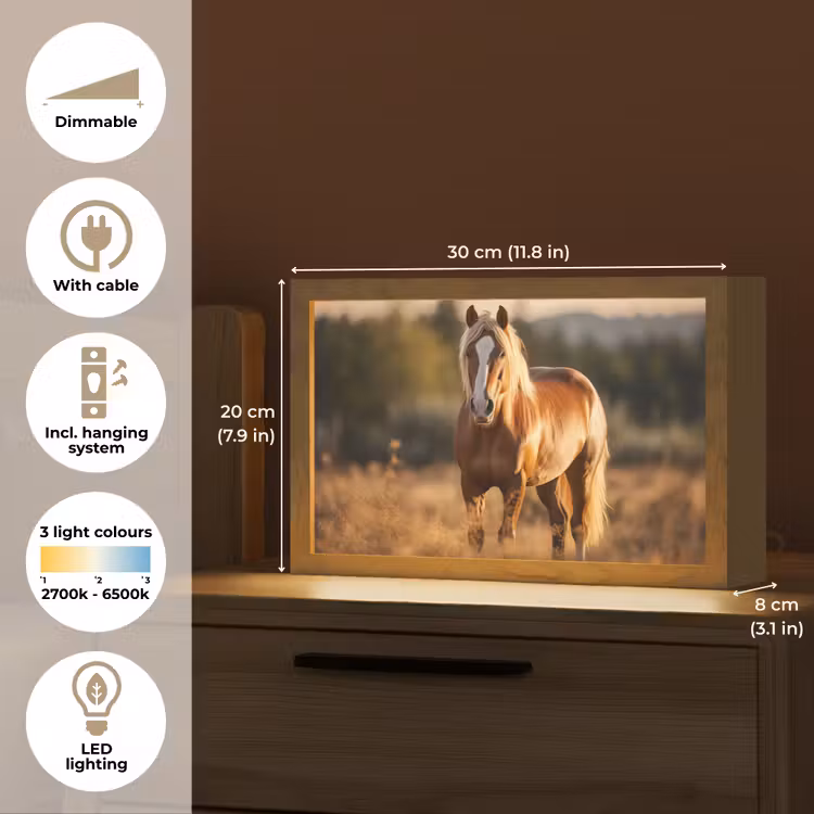 Paard - Bruin - Natuur - Weiland - Dier Light Box met kabel (Tafellamp) klein -USP_EN