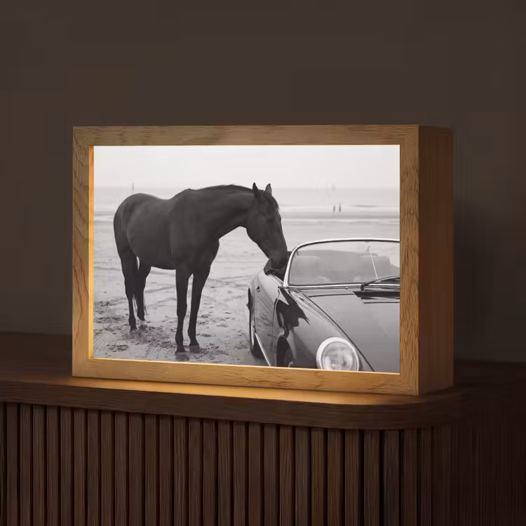 Paard - Auto - Zwart - Wit Light Box met kabel (Tafellamp) klein -z3d_website