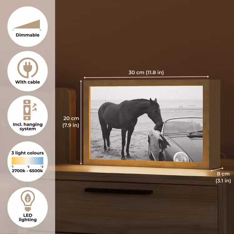 Paard - Auto - Zwart - Wit Light Box met kabel (Tafellamp) klein -USP_EN