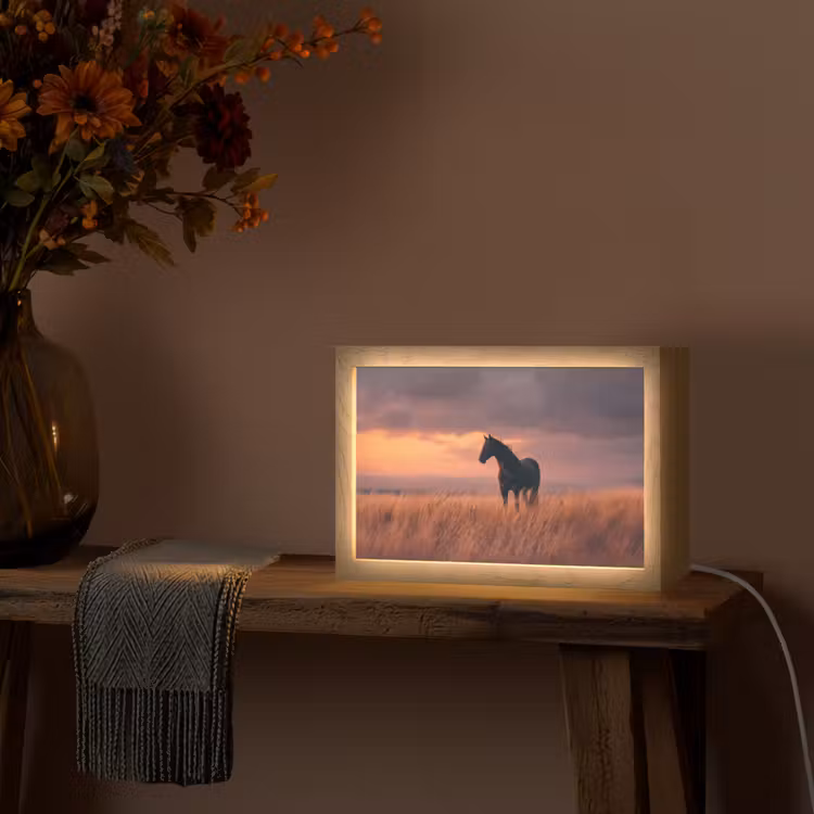 Paard - Wolken - Open veld Light Box met kabel (Tafellamp) klein -sfeer4