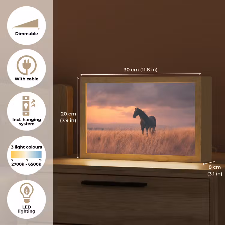 Paard - Wolken - Open veld Light Box met kabel (Tafellamp) klein -USP_EN