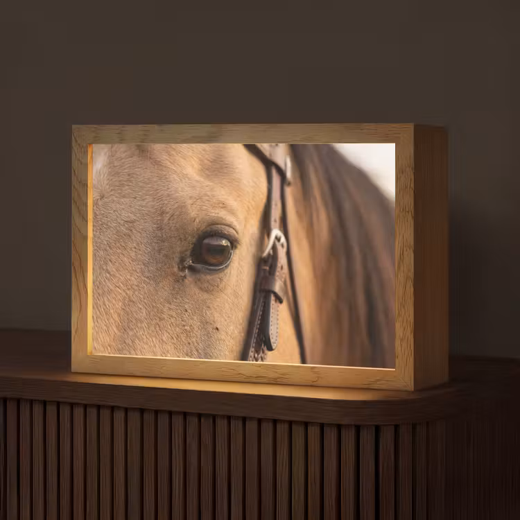 Paard - Oog - Bruin Light Box met kabel (Tafellamp) klein -z3d_website