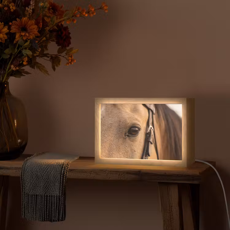 Paard - Oog - Bruin Light Box met kabel (Tafellamp) klein -sfeer4