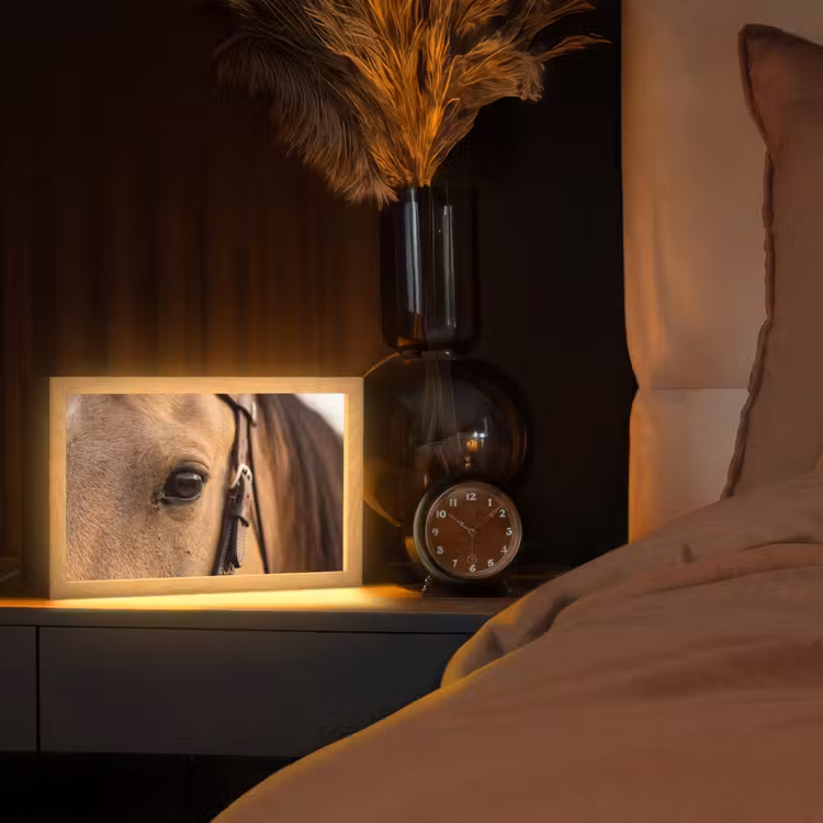 Paard - Oog - Bruin Light Box met kabel (Tafellamp) klein -sfeer1
