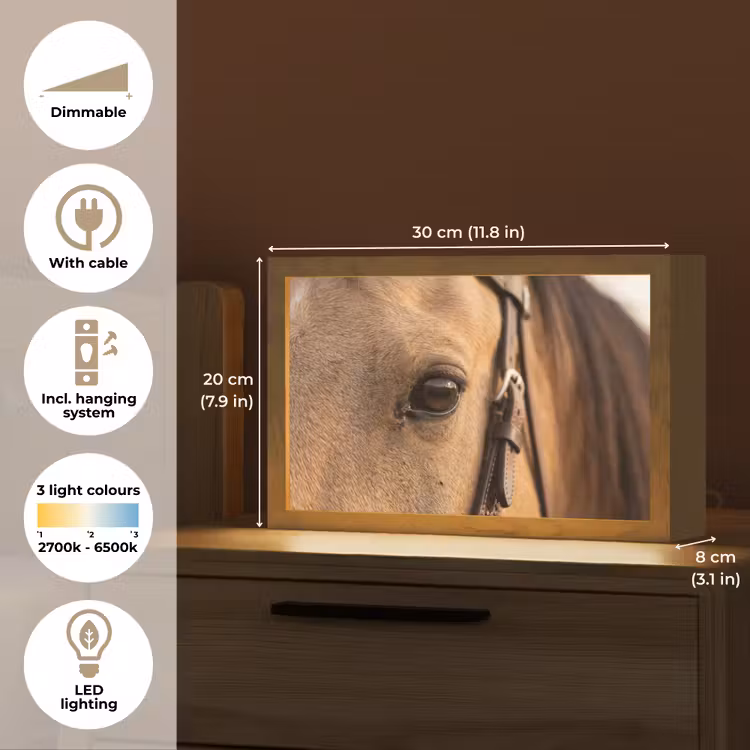 Paard - Oog - Bruin Light Box met kabel (Tafellamp) klein -USP_EN