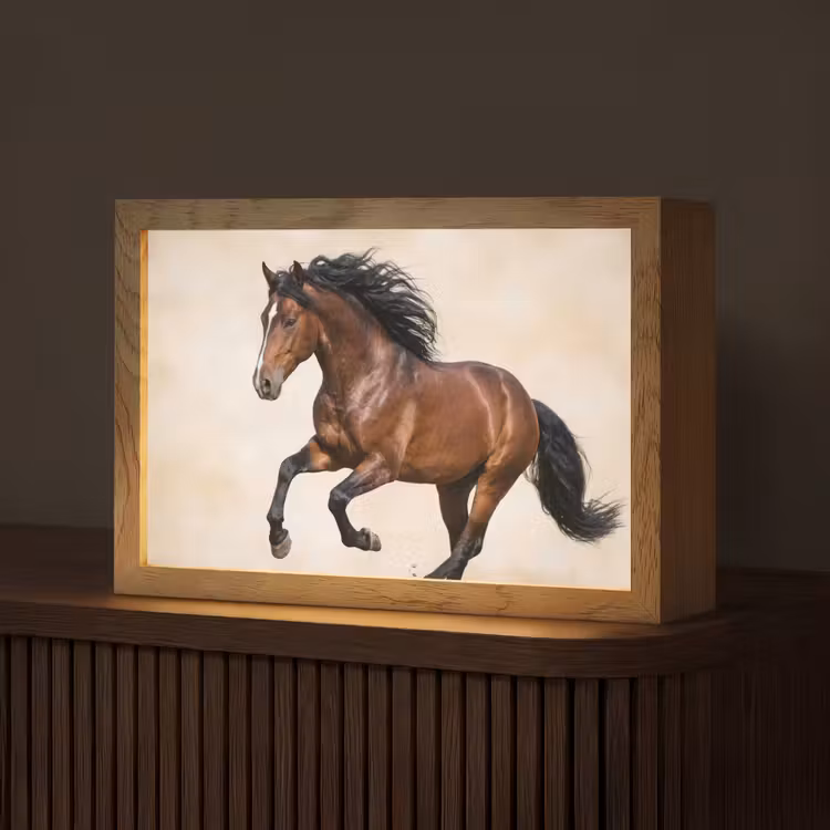 Paard - Galop - Energie Light Box met kabel (Tafellamp) klein -z3d_website