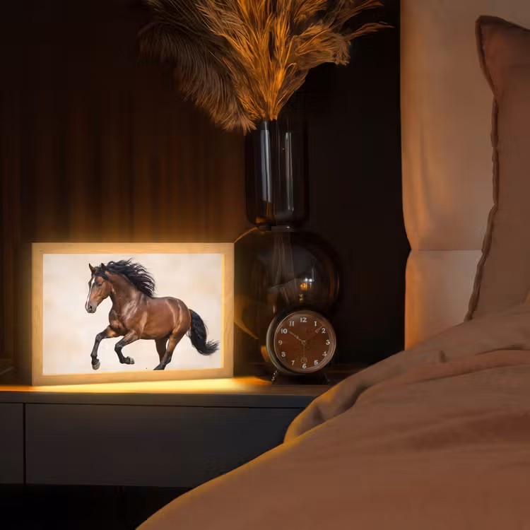 Paard - Galop - Energie Light Box met kabel (Tafellamp) klein -sfeer1