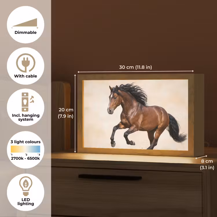 Paard - Galop - Energie Light Box met kabel (Tafellamp) klein -USP_EN