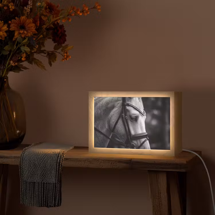Paard - Schimmel - Portret Light Box met kabel (Tafellamp) klein -sfeer4