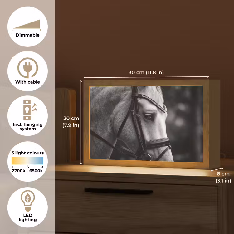 Paard - Schimmel - Portret Light Box met kabel (Tafellamp) klein -USP_EN