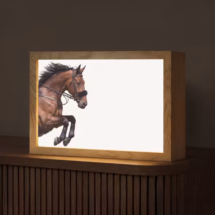 Paard - Springen - Modern Light Box met kabel (Tafellamp) klein -z3d_website