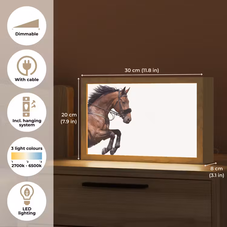 Paard - Springen - Modern Light Box met kabel (Tafellamp) klein -USP_EN