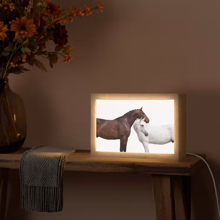Paard - Modern - Balans Light Box met kabel (Tafellamp) klein -sfeer4
