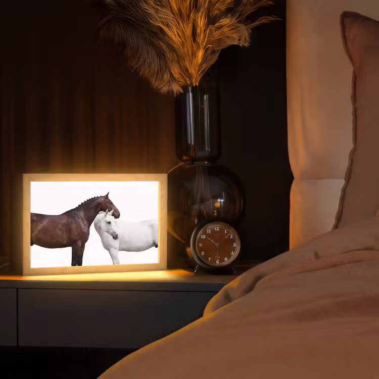 Paard - Modern - Balans Light Box met kabel (Tafellamp) klein -sfeer1