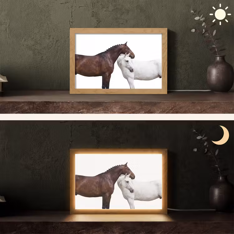 Paard - Modern - Balans Light Box met kabel (Tafellamp) klein -sfeer3