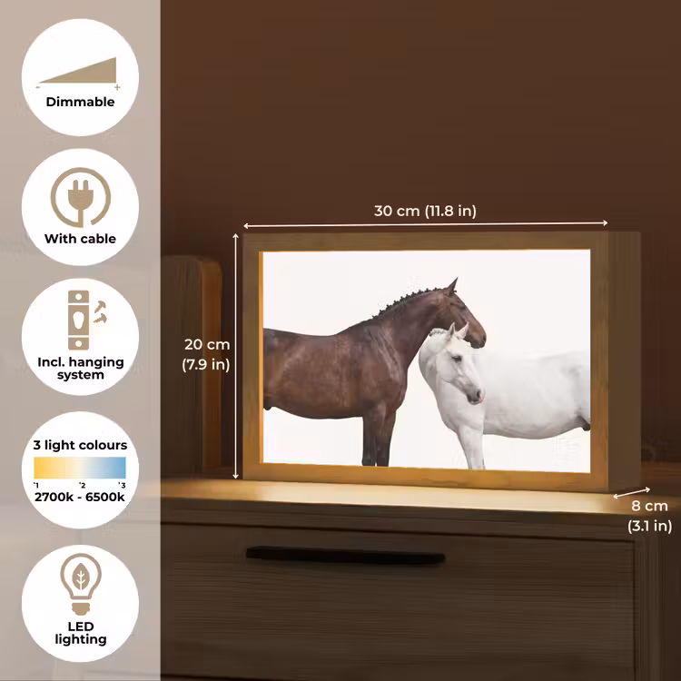 Paard - Modern - Balans Light Box met kabel (Tafellamp) klein -USP_EN