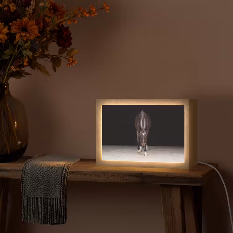 Paard - Modern - Portret Light Box met kabel (Tafellamp) klein -sfeer4