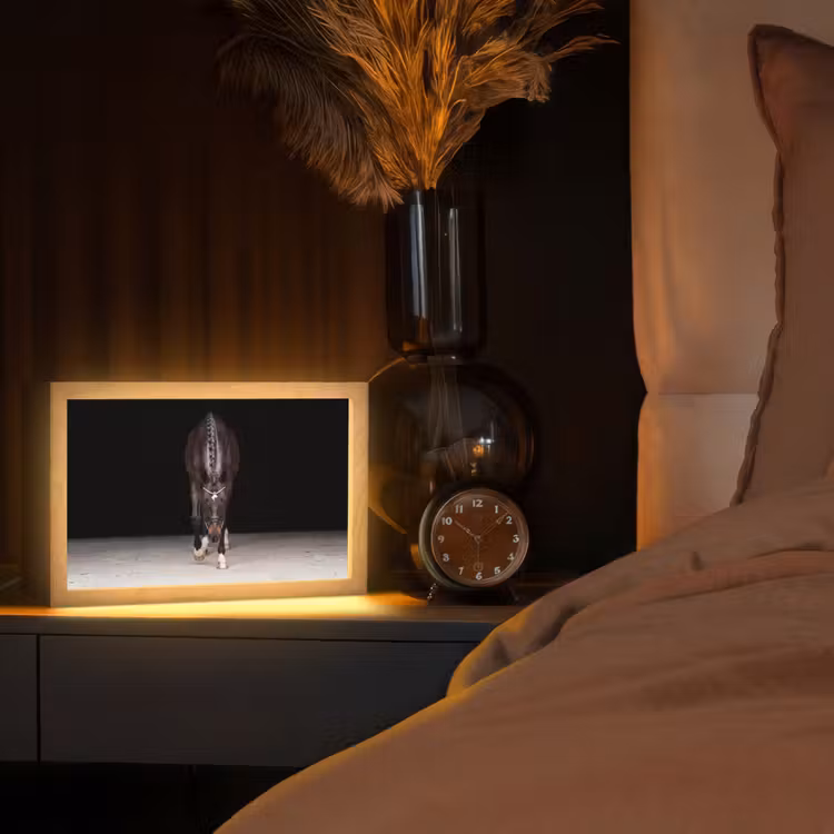 Paard - Modern - Portret Light Box met kabel (Tafellamp) klein -sfeer1