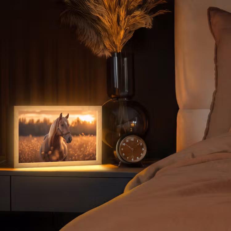 Paard - Natuur - Dier - Bruin - Dieren portret Light Box met kabel (Tafellamp) klein -sfeer1