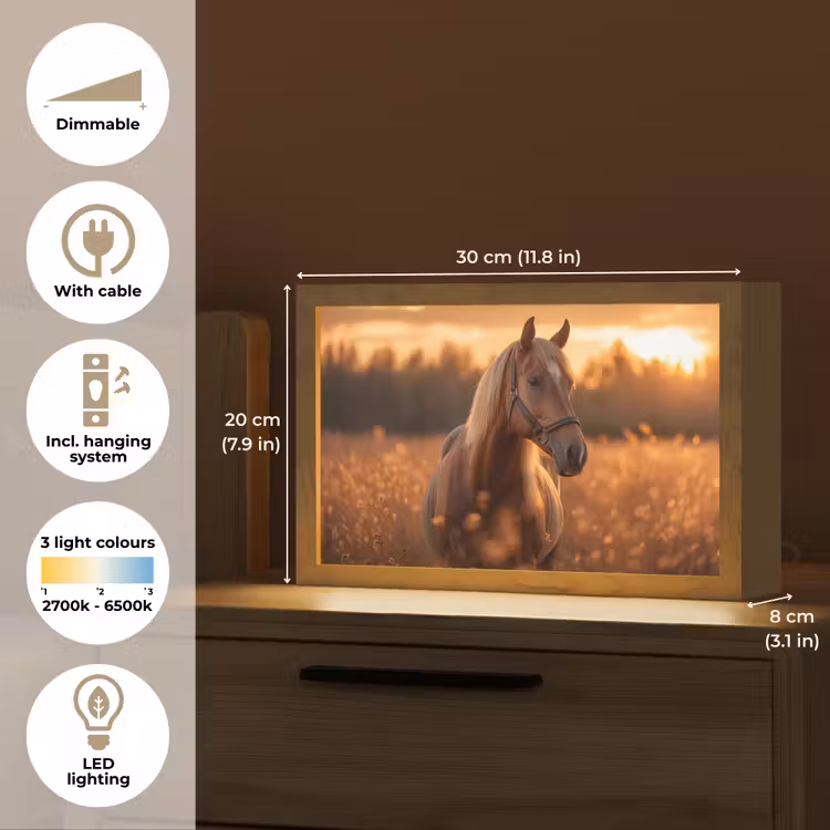 Paard - Natuur - Dier - Bruin - Dieren portret Light Box met kabel (Tafellamp) klein -USP_EN