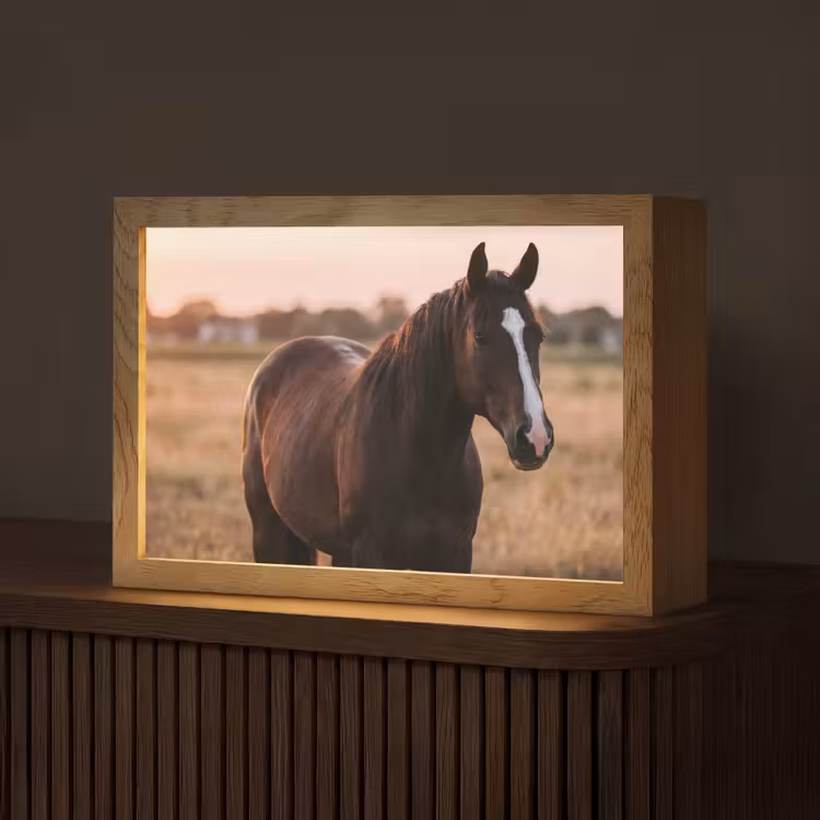 Paard - Zonsondergang - Bruin Light Box met kabel (Tafellamp) klein -z3d_website