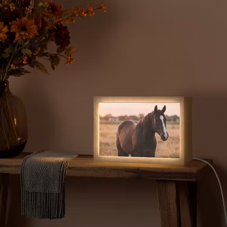 Paard - Zonsondergang - Bruin Light Box met kabel (Tafellamp) klein -sfeer4